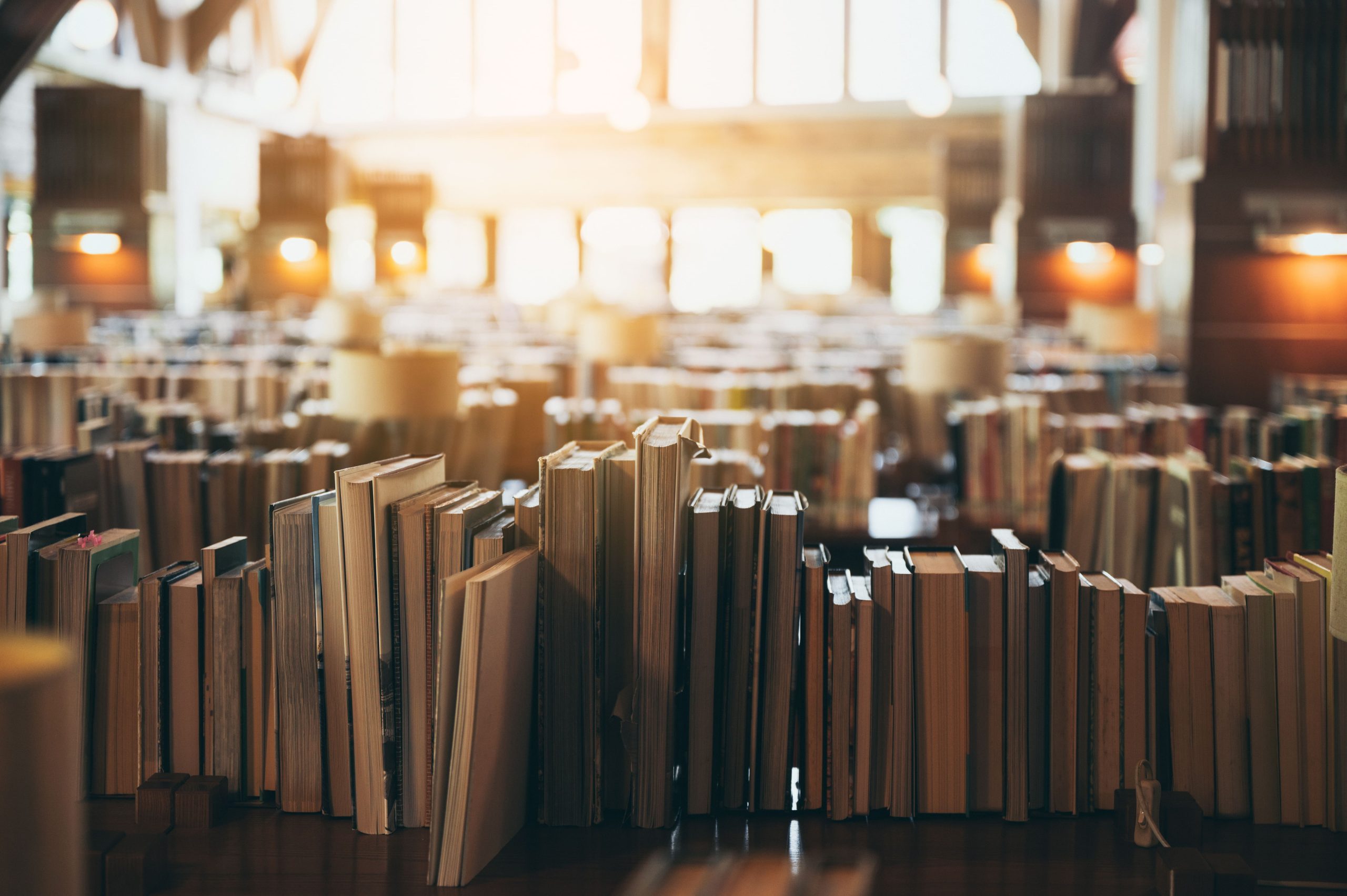 Interfaz de búsqueda